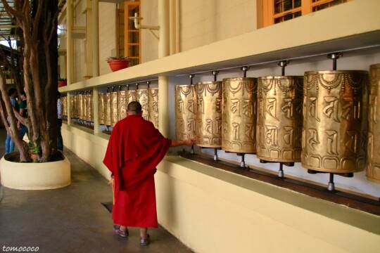 prayer wheel and sangha in Dalai Lama temple in McLeod Ganj/ マクロードガンジのダライラマ寺院
